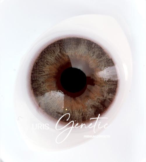 Preview of Uris Genetic Brown contacts on dark eyes(after)